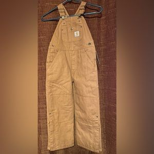 Carhartt insulated bib overalls